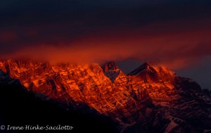 Nature photography in the Canadian Rockies