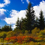 Photo tour of WV should include Dolly Sods.