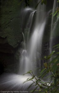 You encounter a number of cascades and waterfalls when on a tour of the WV Mountains.