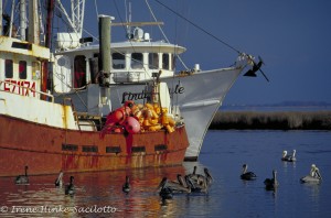 Fishing boats are possible subjects during the photo workshop.