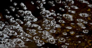 Bubbles in a stream found during prep for photo workshop.