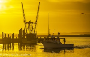 Fishing boat returning to Chincoteague