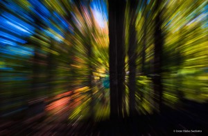 Photographed at GrandviewUsed zoom lens at slow shutter speed.