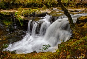 Cascade on way to Thurmond . Shot from difficult position on rocks.