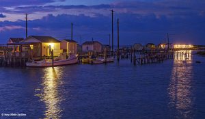 DawnHzarb orStars-2226_1024Lighter3Contrast