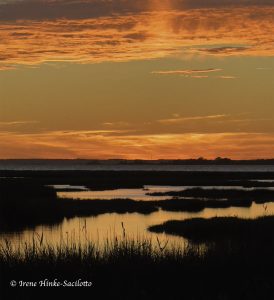 Marsh at sunset.