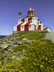 Bonavista Lighthouse