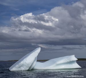 Iceberg near MainBrook Newfoundland by Osprey Photo Workshops
