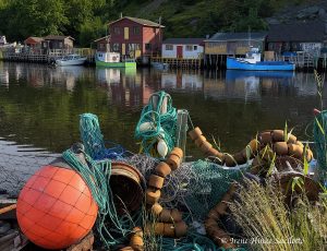 Quidi Vidi Harbor