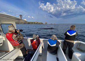 Photographing whales