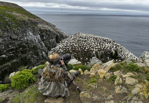 Irene Sacilotto photographing Northern Gannets at St. Mary's Ecological Reserve by Osprey Photo Workshops