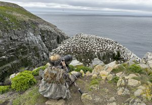 Irene Hinke-Sacilotto photographing gannets at St Mary's Ecological Reserve in Newfoundland by Osprey Photo Workshops
