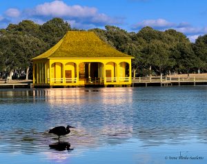 Boat house & heron in Corolla NC by Osprey Photo Workshops