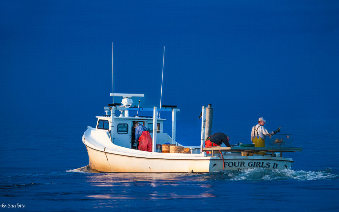 Tangier Island Photo Workshop – 2026
