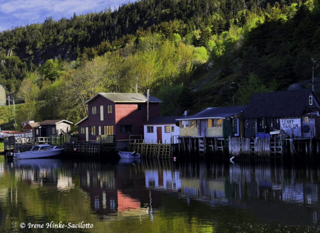 Quidi Vidi Harbor Refections