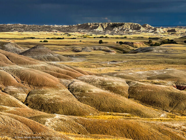 Sage Creek Area Erosion