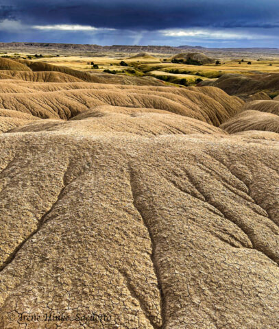 Sage Creek Area Erosion