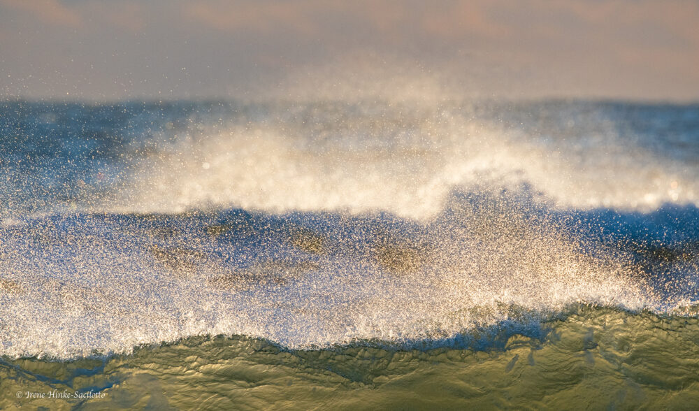 Wave Splashing on Shore of Assataegue Island
