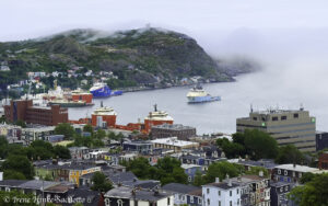 St. John's harbor from the Rooms.